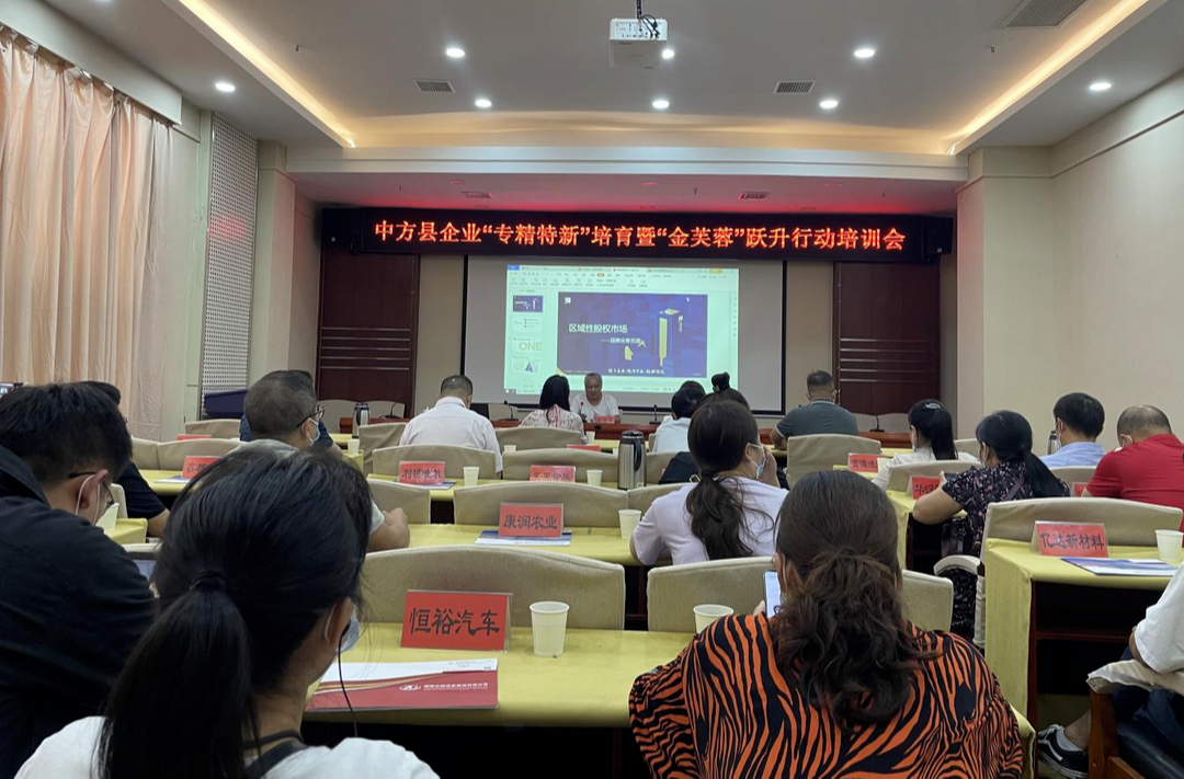 中方县召开企业“专精特新”培育暨“金芙蓉”跃升行动培训会