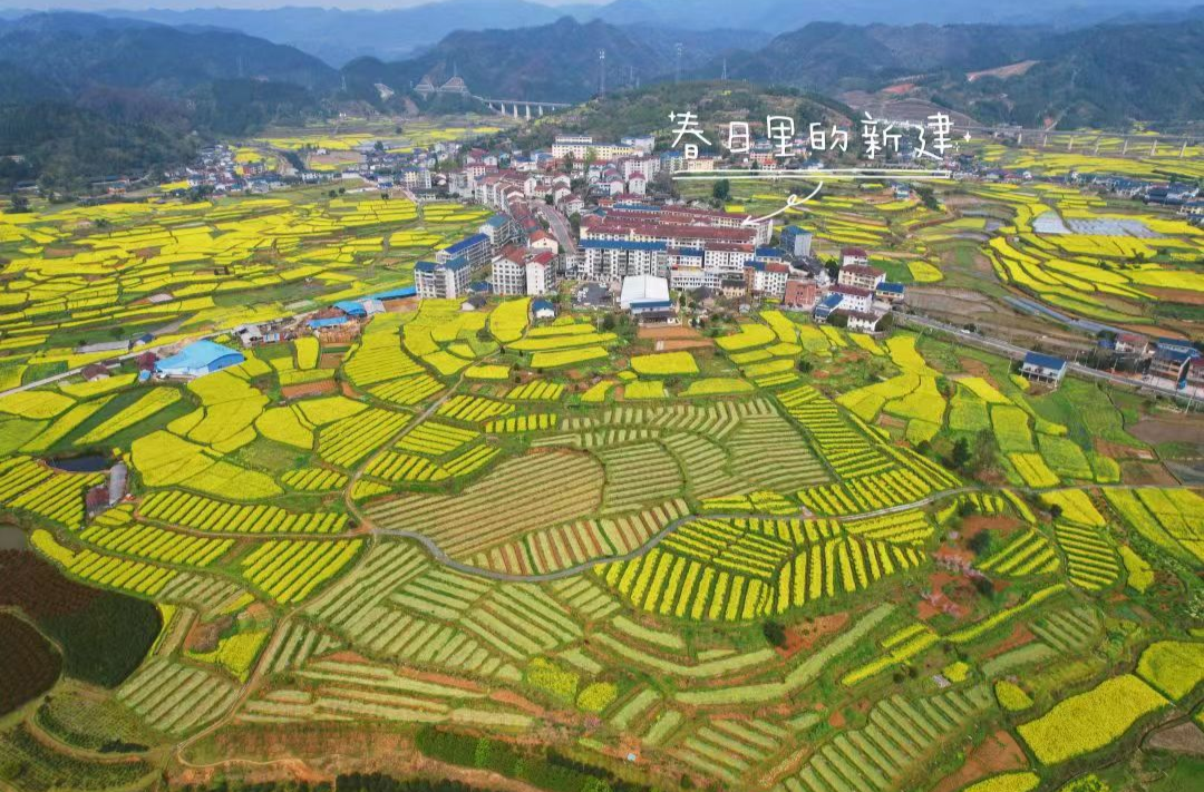喜迎二十大·非凡的十年|新建镇：奋斗与蜕变的十年