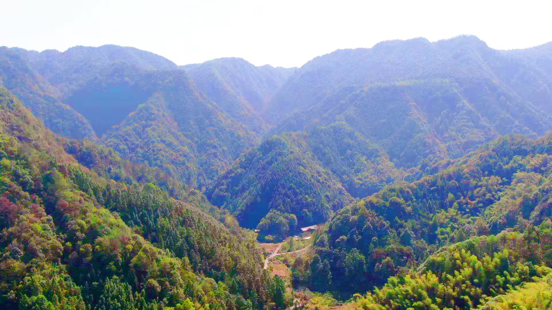 一起向未来|中方：立足资源优势 发展森林旅游