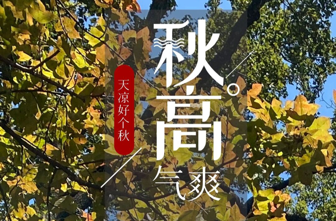海报|秋高气爽 万物可爱