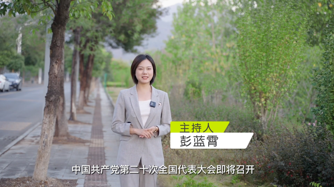 中方融媒带你了解党的二十大代表及构成