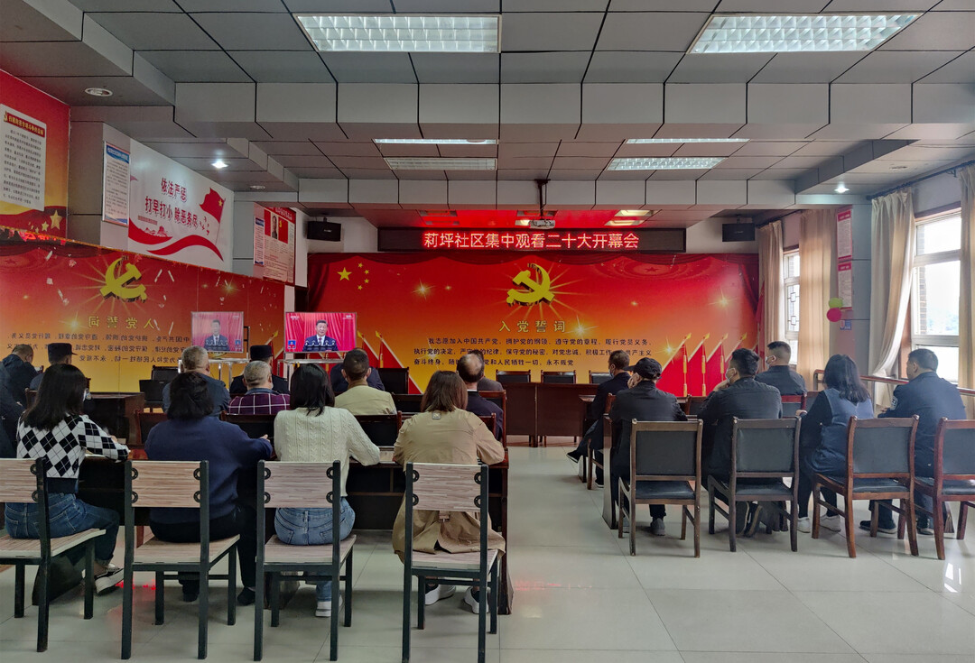 中方县莉坪社区党员群众集中收看收听党的二十大开幕会