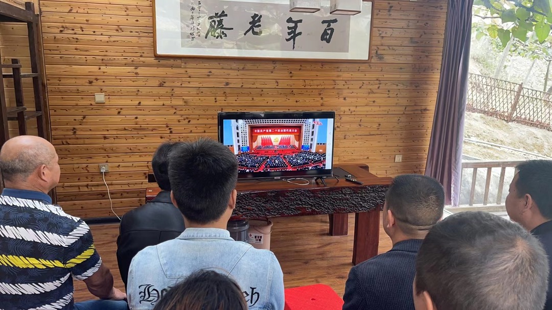 图片新闻|桐木镇大松坡村集中收看收听党的二十大开幕会