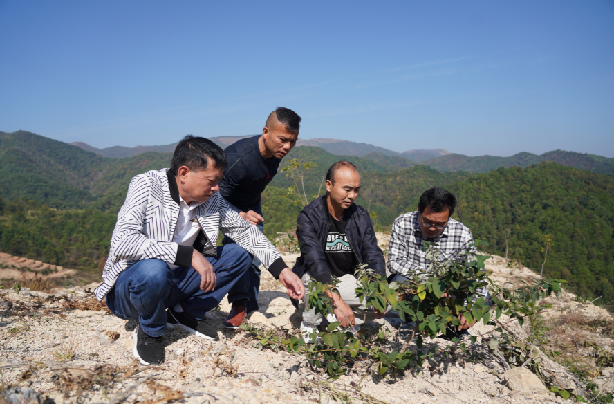二十大时光|中方：大力发展中药材产业 促进中医药传承创新发展