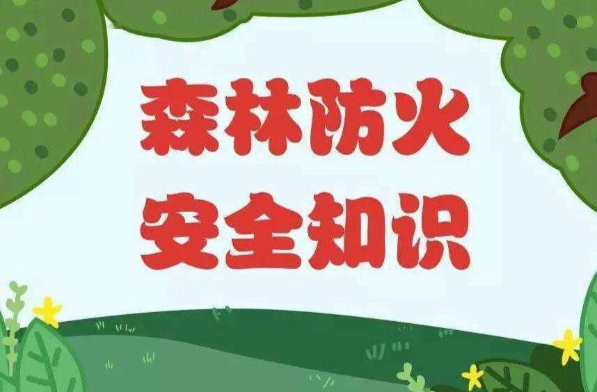 一图了解森林火灾的预防和避险