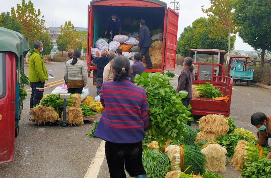 中方县多措并举解决农户“卖菜难”