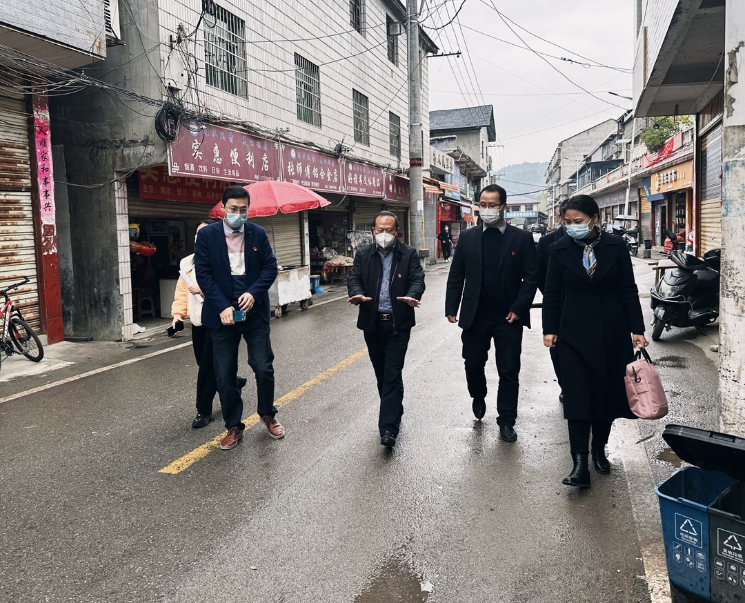 向付和参加县六届人大代表铜鼎镇代表小组专题调研活动