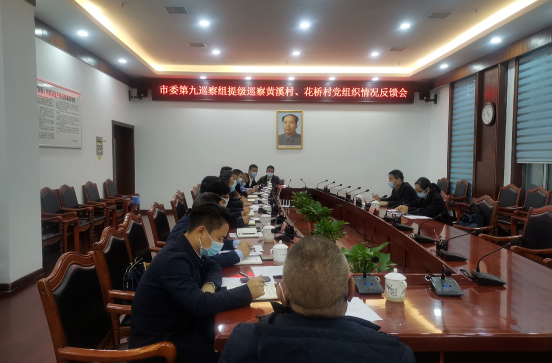 市委第九巡察组向中方县反馈提级巡察情况
