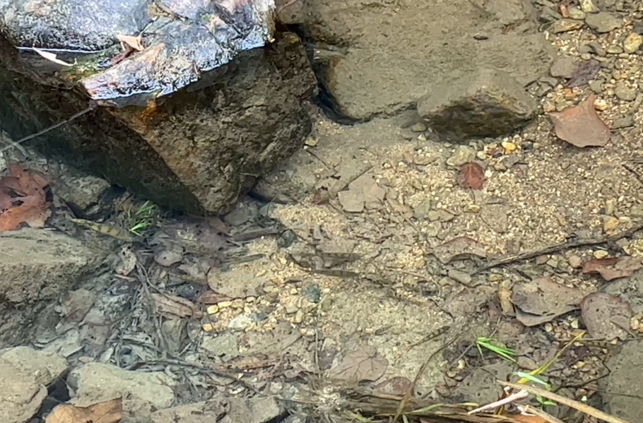 中方白良村：建设生态保护区 守护绿水青山