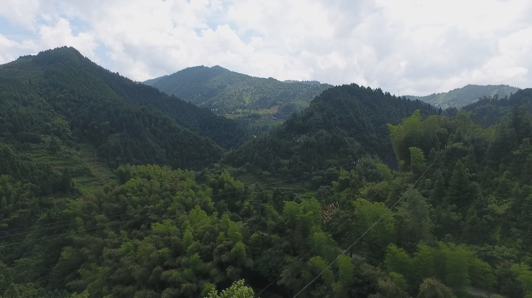 中方县：“技防+人防” 筑牢山林“防火墙”