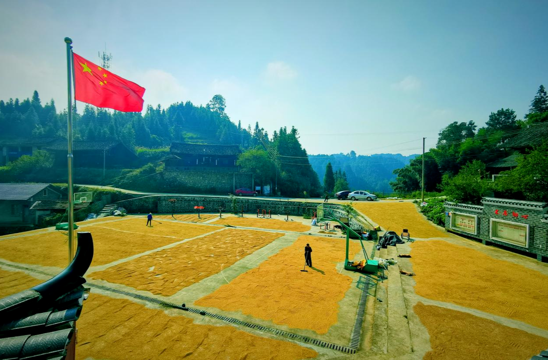 中方县：扎实做好“五篇文章” 牢牢守住粮食安全