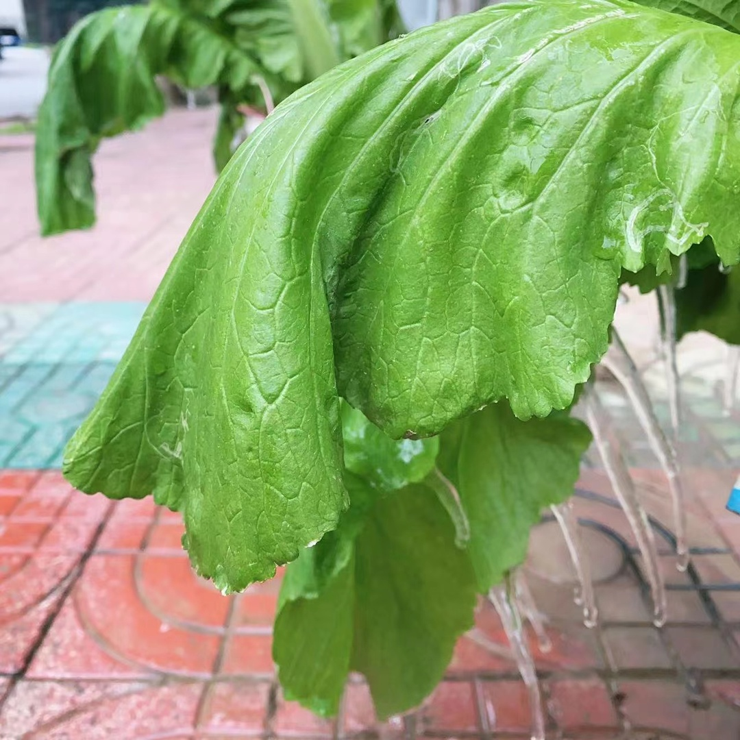 中方县最新天气预报及寒潮知识科普