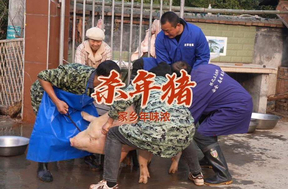 视频 | 记忆里的“杀年猪” 家乡年味浓