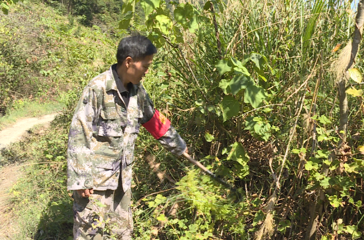 中方：全力做好春节期间森林防火工作