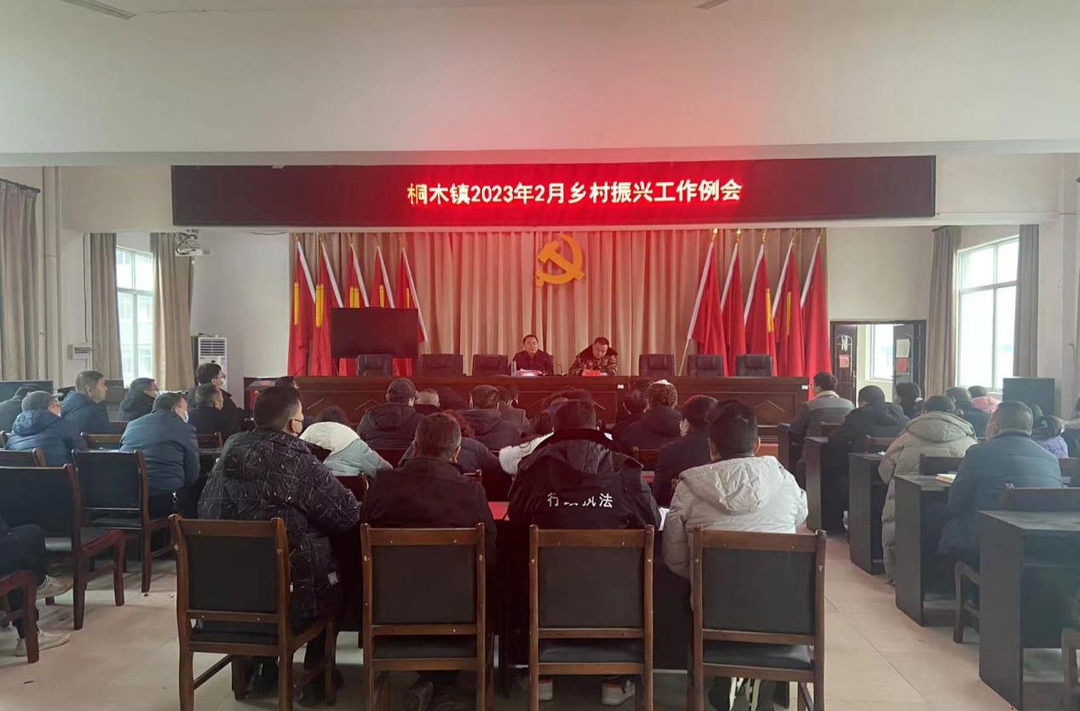 张必忠到桐木镇调研指导乡村振兴等重点工作