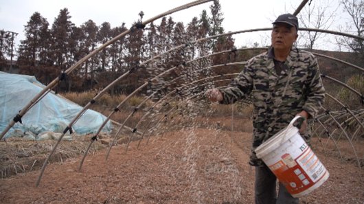 视频|中方： 蔬菜基地春耕忙