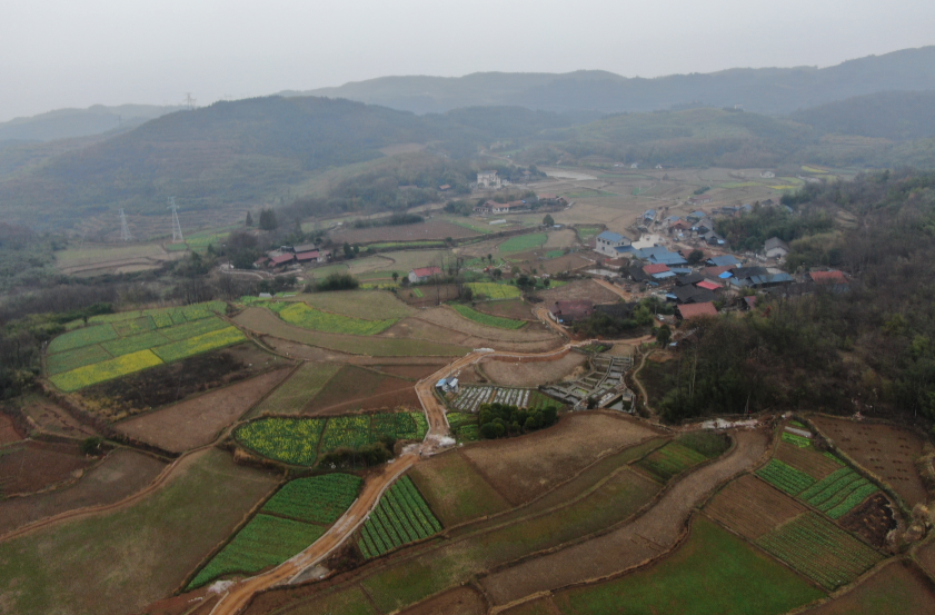 视频|中方：今年将完成1.28万亩高标准农田建设