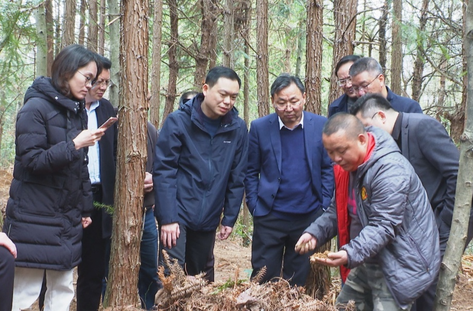 胡杰陪同考察农业产业发展并调研春耕备耕工作