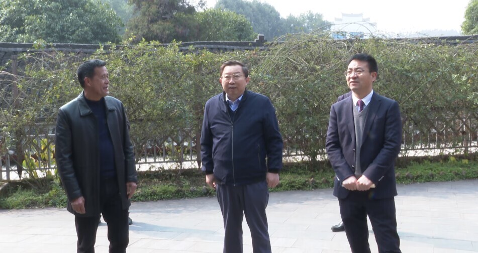 中国-东盟商务理事会执行理事长许宁宁一行到中方考察调研
