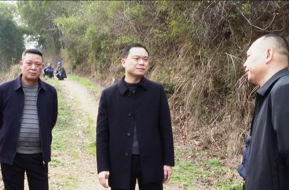 胡杰调研怀芷快速干线(中方段）项目建设
