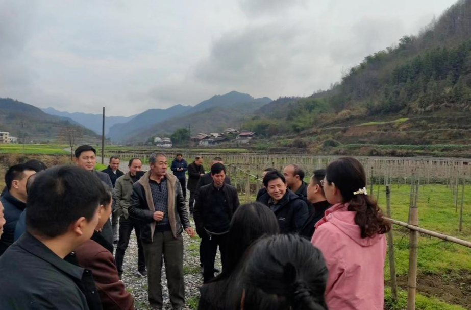 走出去 学进来 瑶乡群众收获致富“新路子”