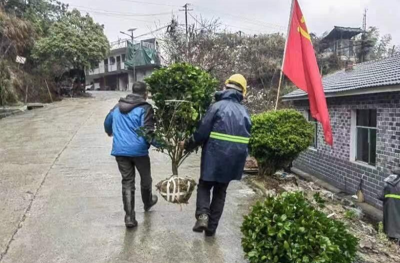 中方县蒿吉坪瑶族乡：盘活“土特产” 打造乡村振兴“新引擎”
