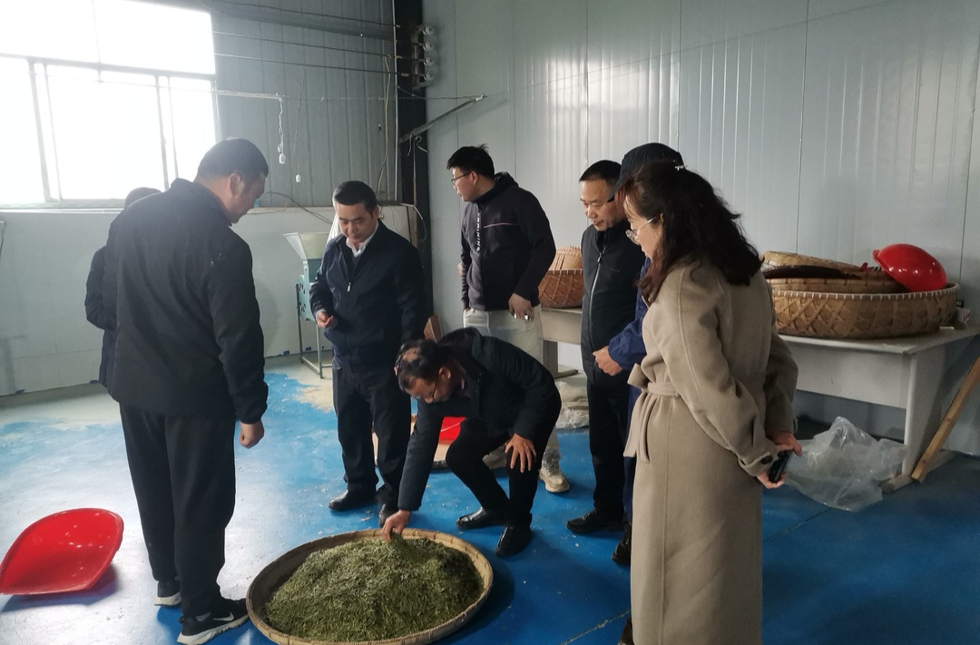 中方县：“智惠行动•百会百县乡村行”走进接龙镇