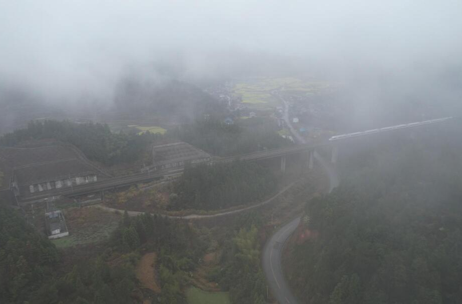 视频|中方：江南韵味  烟雨中的金色花海