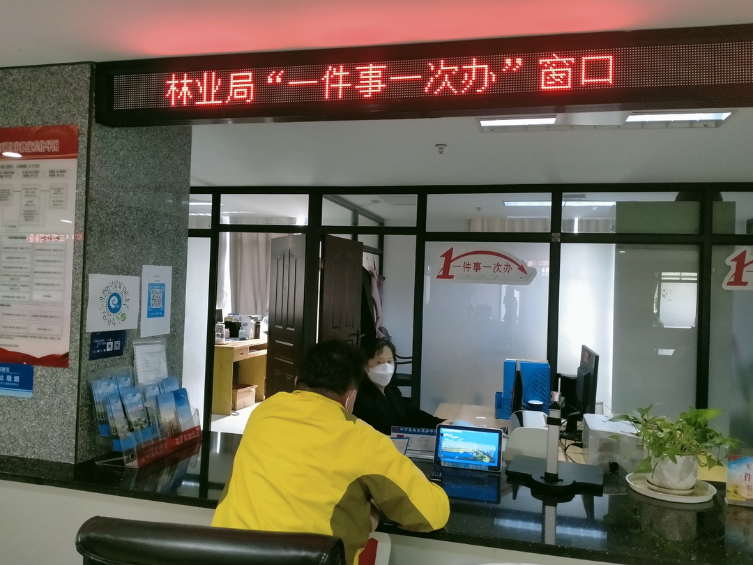 中方县：林业服务“小窗口” 助力优化营商“大环境”