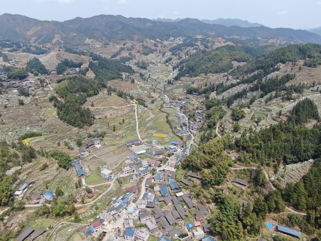 怀化中方醉美梨园香约铁坡万亩梨花绘就乡村振兴最美底色