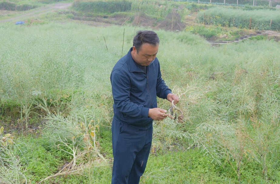 早部署早行动 中方县新建镇多措并举保障春耕生产