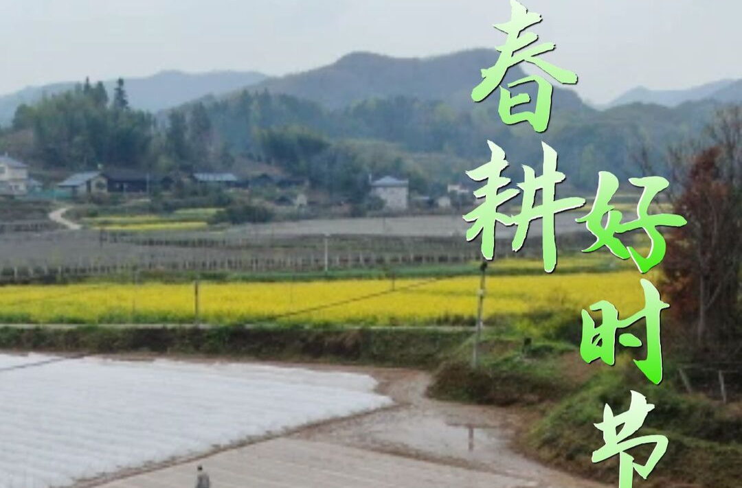 海报|不负春光！正是春耕好时节！