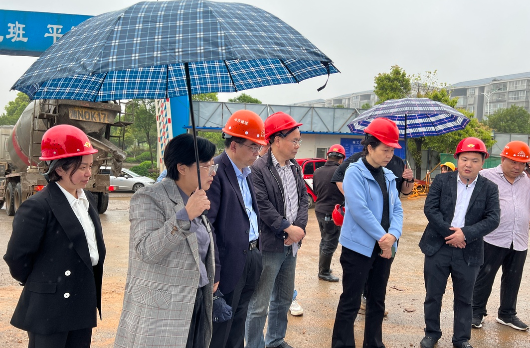 市人大常委会副主任向建平到中方调研恒雅高级中学项目建设