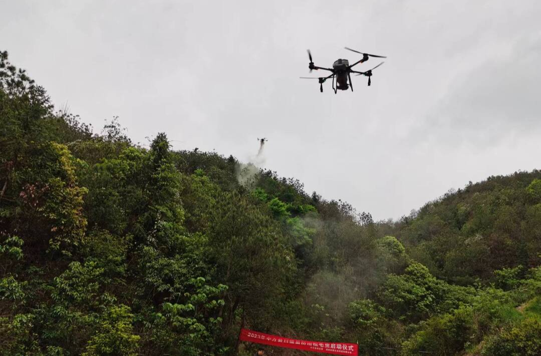 中方县：无人机防治松毛虫 守护绿水青山