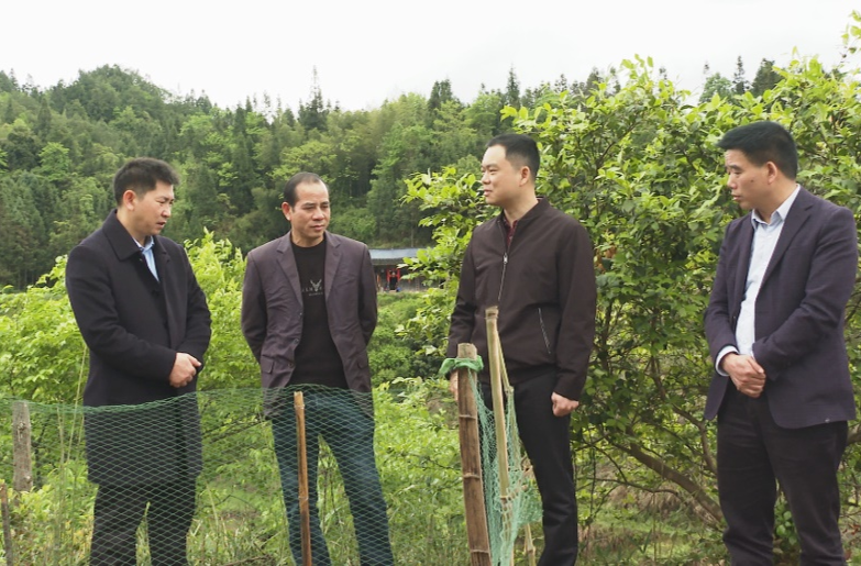 胡杰调研督导耕地抛荒工作