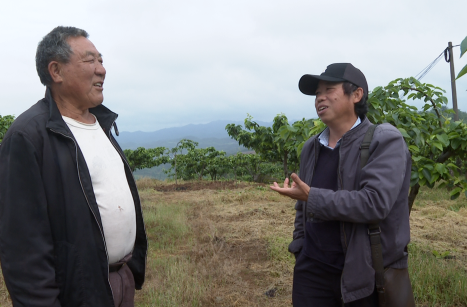 中方县：科技特派员下乡 助力农业生产