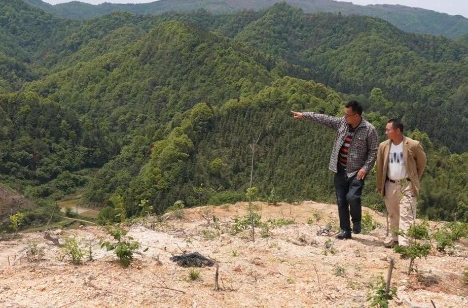 视频|身边的劳模①丁学龙：勇当“领头羊” 返乡创业让家乡遍地生金