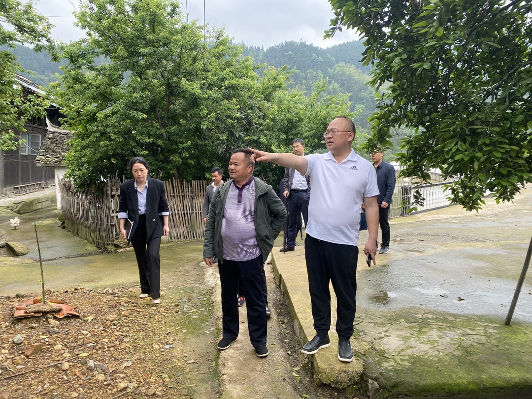 田晓华深入铜湾镇、新建镇调研人居环境整治工作