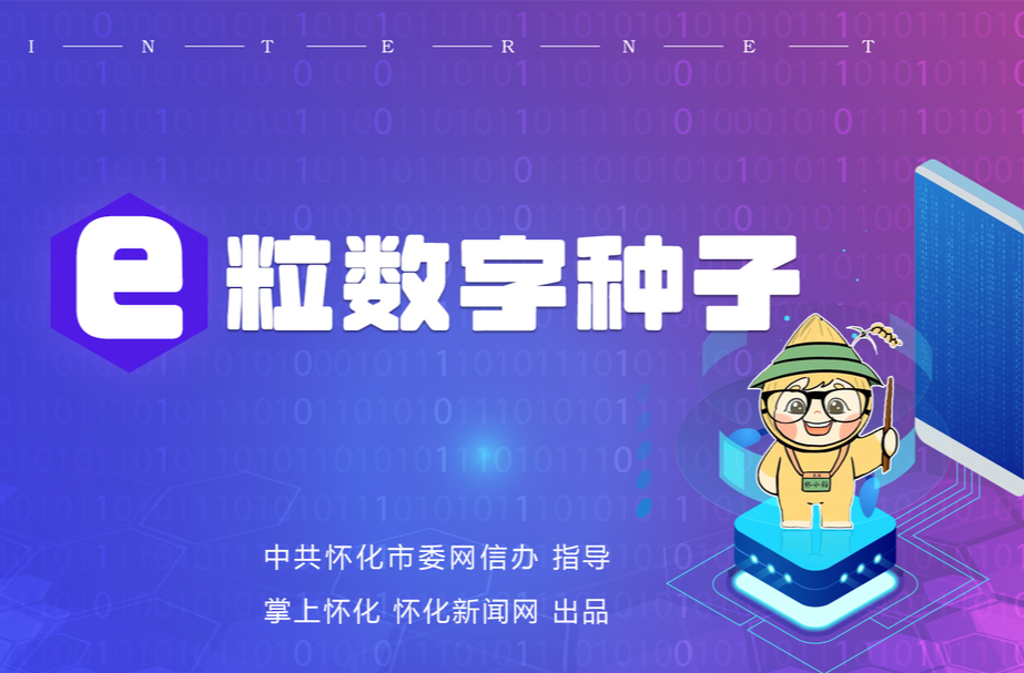 e粒数字种子