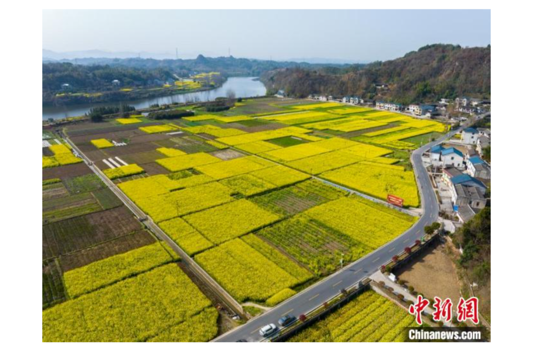 中国新闻网|环境整治梳理融合显特色 湖南中方美丽乡村入画来