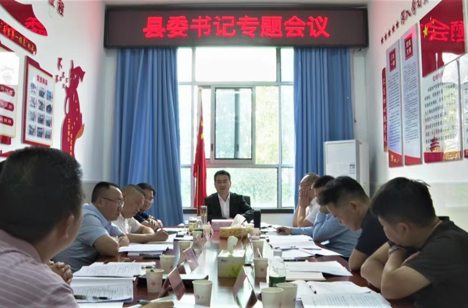 张家铣专题研究铜湾集镇防洪堤加固工作