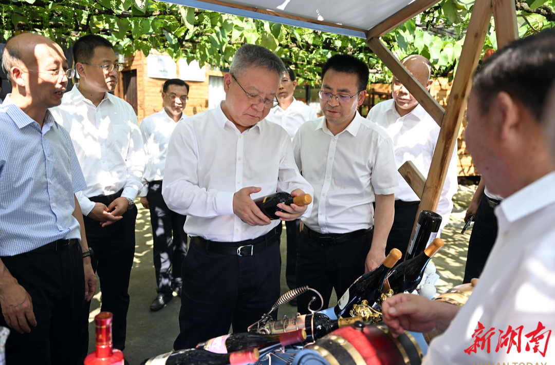 沈晓明在怀化调研：为打造内陆地区改革开放高地作出新贡献