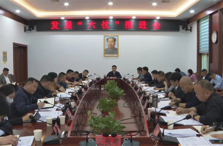 张家铣主持召开全县发展“六仗”推进会