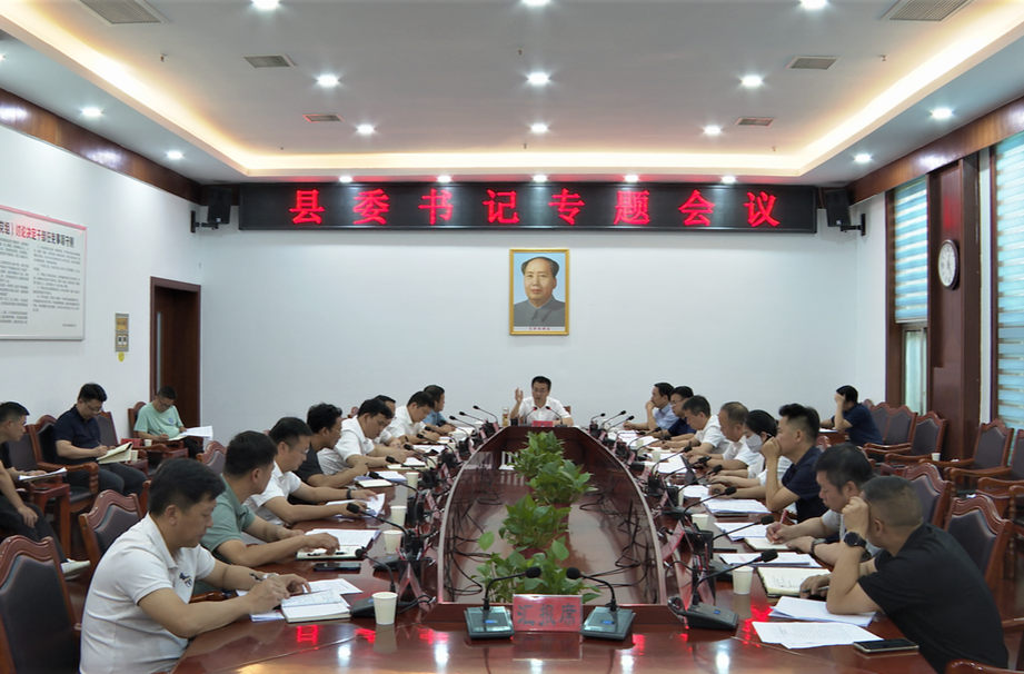 张家铣专题研究黄溪文化旅游项目建设工作