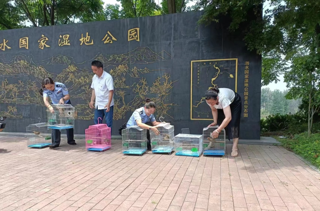 中方县放生国家二级保护动物 15只画眉鸟重回蓝天