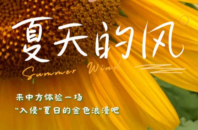 动态海报|迎着夏天的风，来中方体验一场 “入侵”夏日的金色浪漫吧
