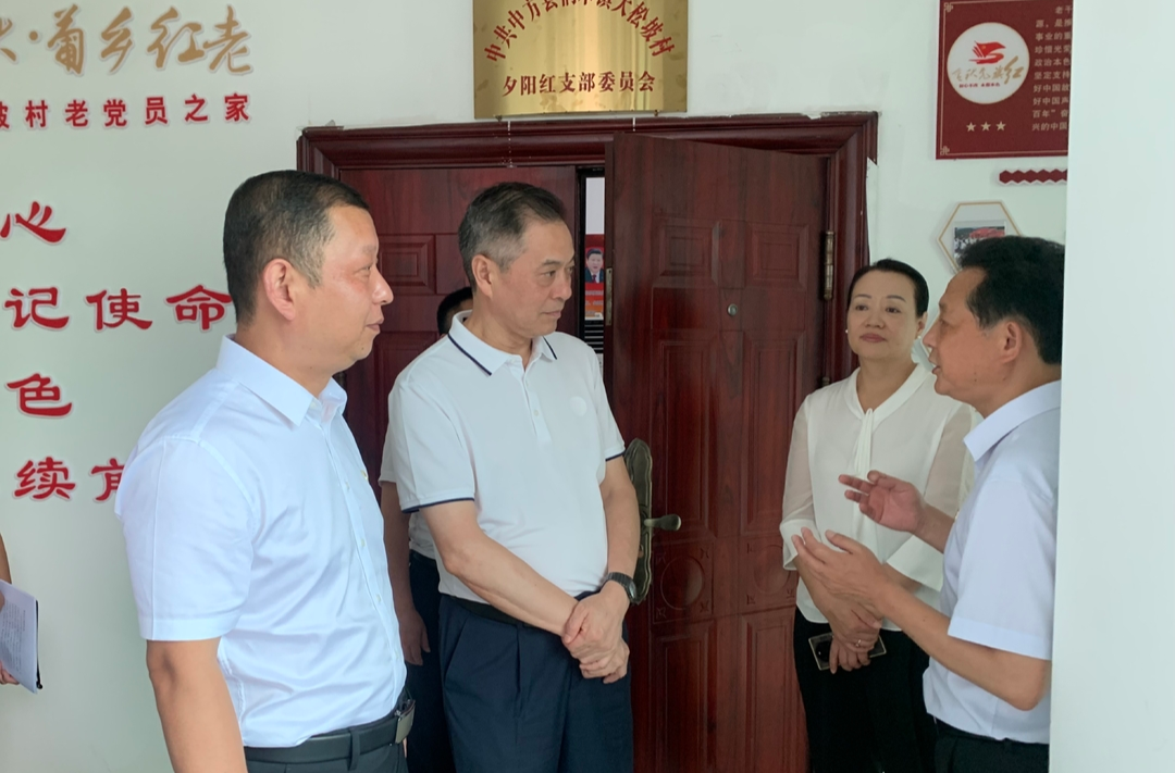 省委老干部局到中方县桐木镇大松坡村调研离退休干部党支部建设工作