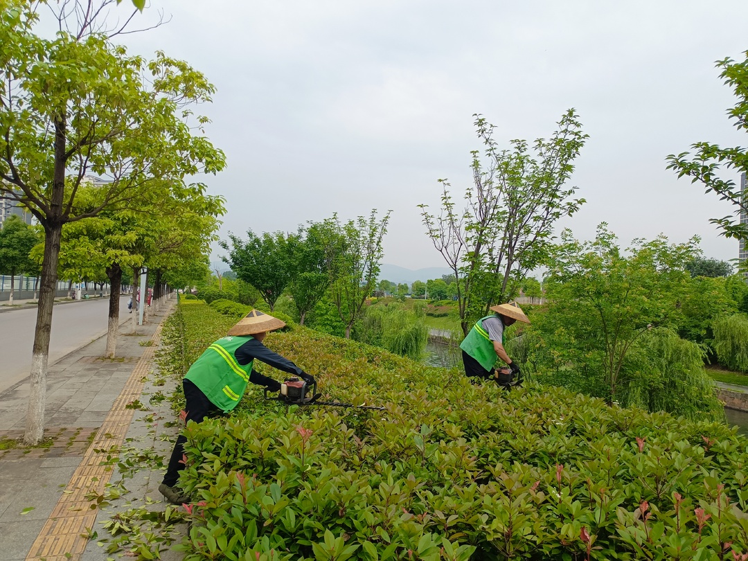 中方城管：优化营商环境   绘就城市新画卷