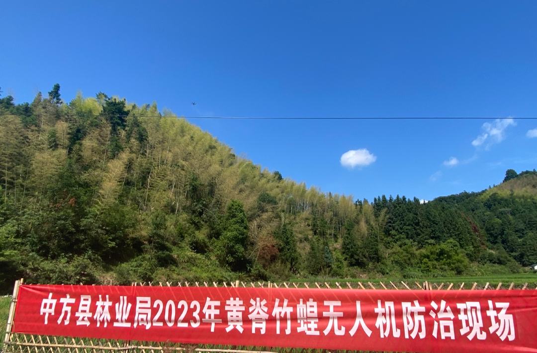 中方县林业局：无人机喷药防治黄脊竹蝗 守护青山绿水