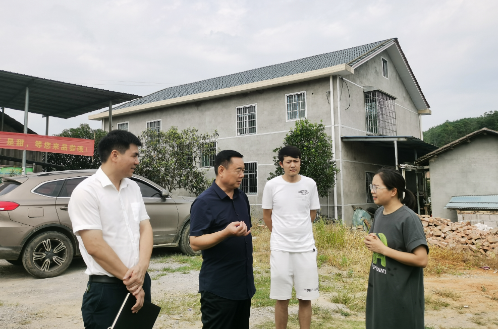 张必忠到泸阳镇吉果果农业科技有限公司调研